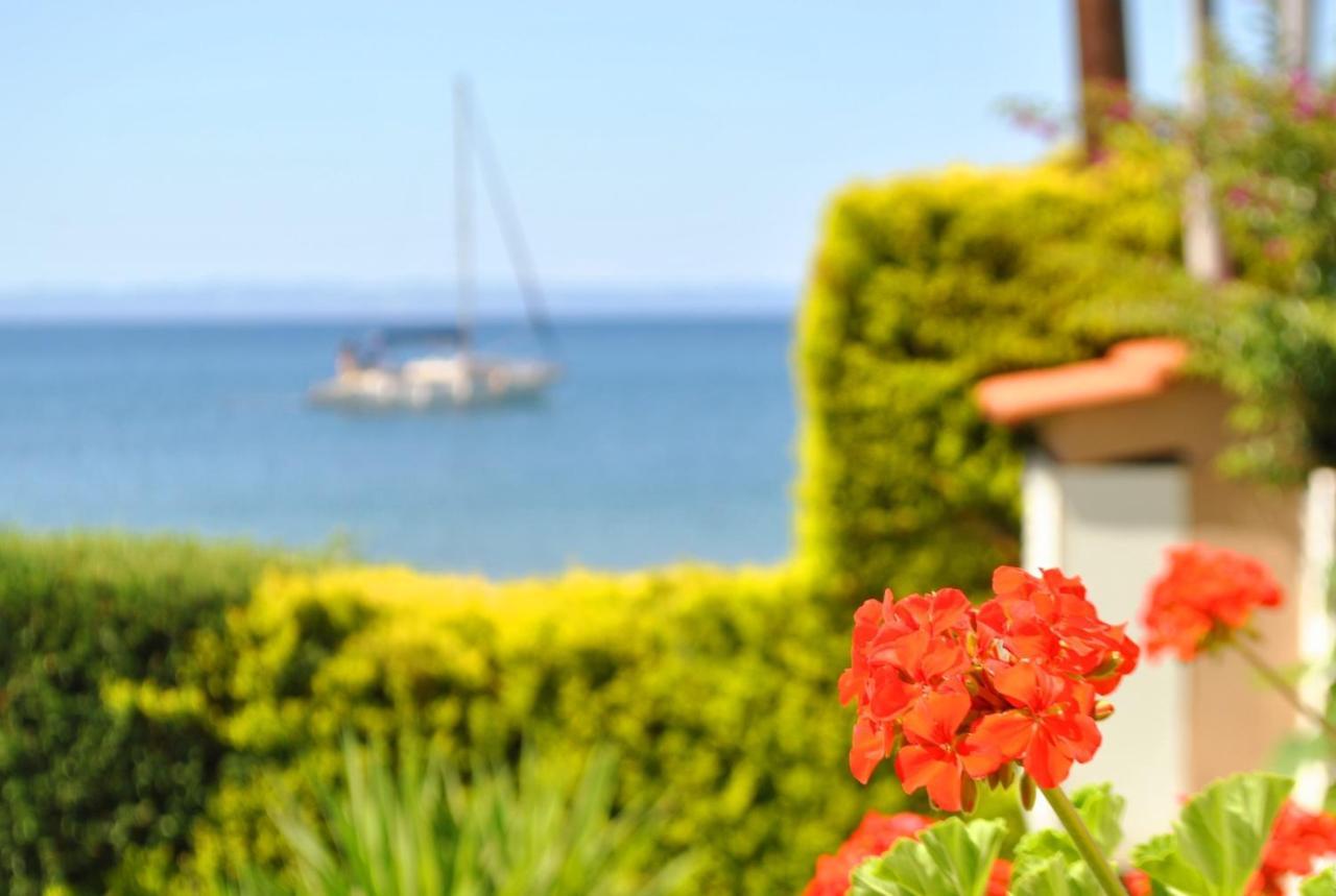 Christina'S Sea House Apartment นิกิติ ภายนอก รูปภาพ