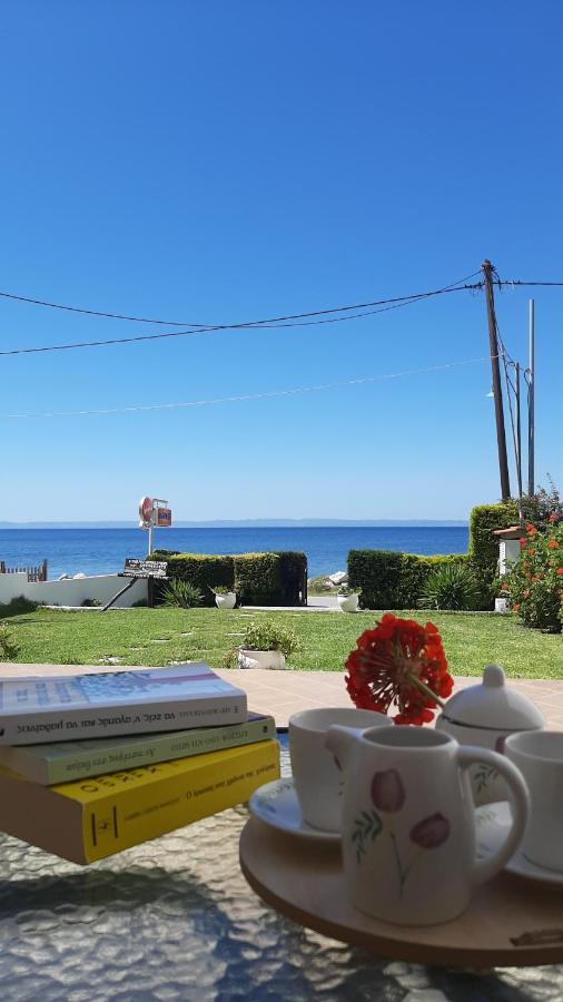 Christina'S Sea House Apartment นิกิติ ภายนอก รูปภาพ
